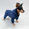 Костюм для собак теплый Premium Сити