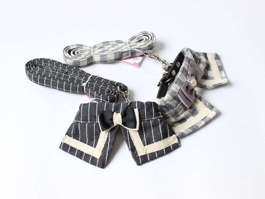 Ошейник и поводок для собаки Королевский Пес