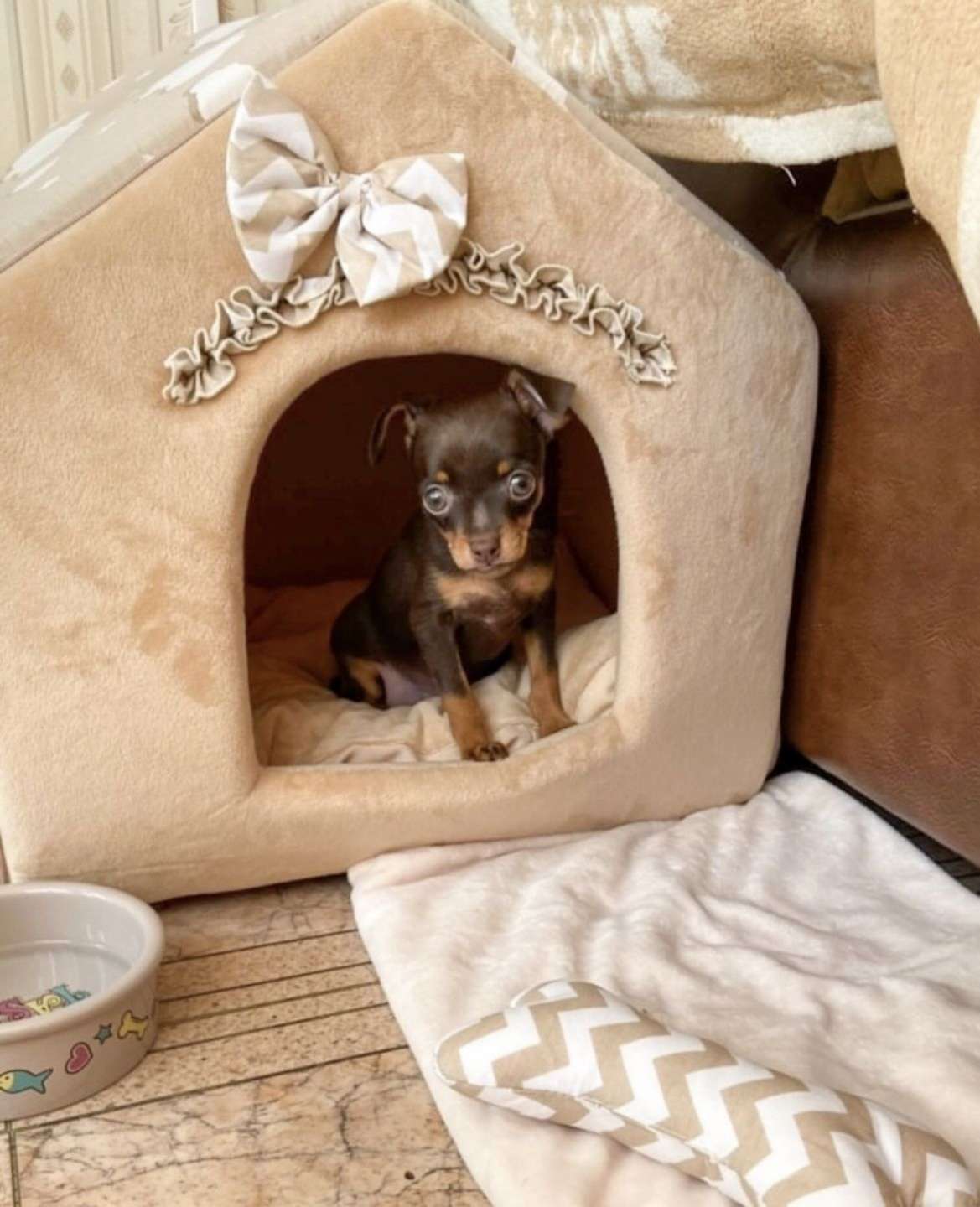 Миска для собак на подставке Triol Лакомка