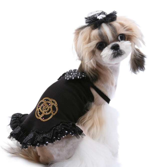 Сарафан для собак PA Очаровашка