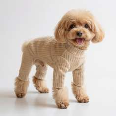 Костюм-боди для собак Puffy Лапша Латте