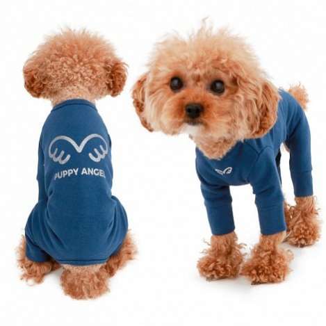 Костюм для собак трикотажный PA Крылышки