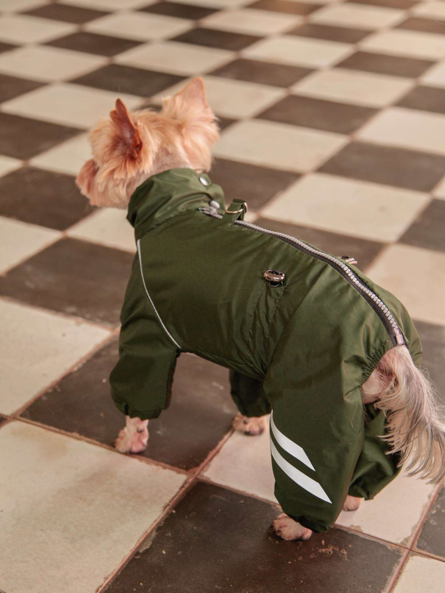 Дождевик для собаки Puffy Полоски