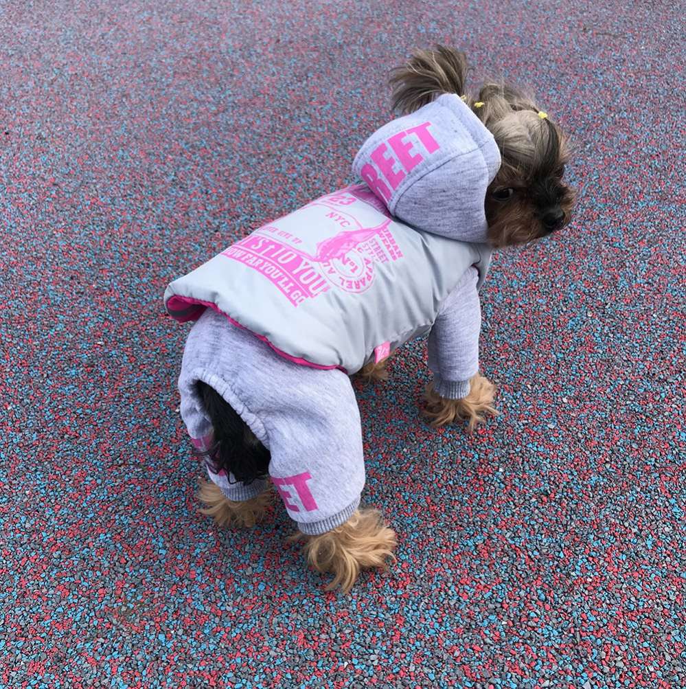 Жилет для собаки двухсторонний Premium Неон