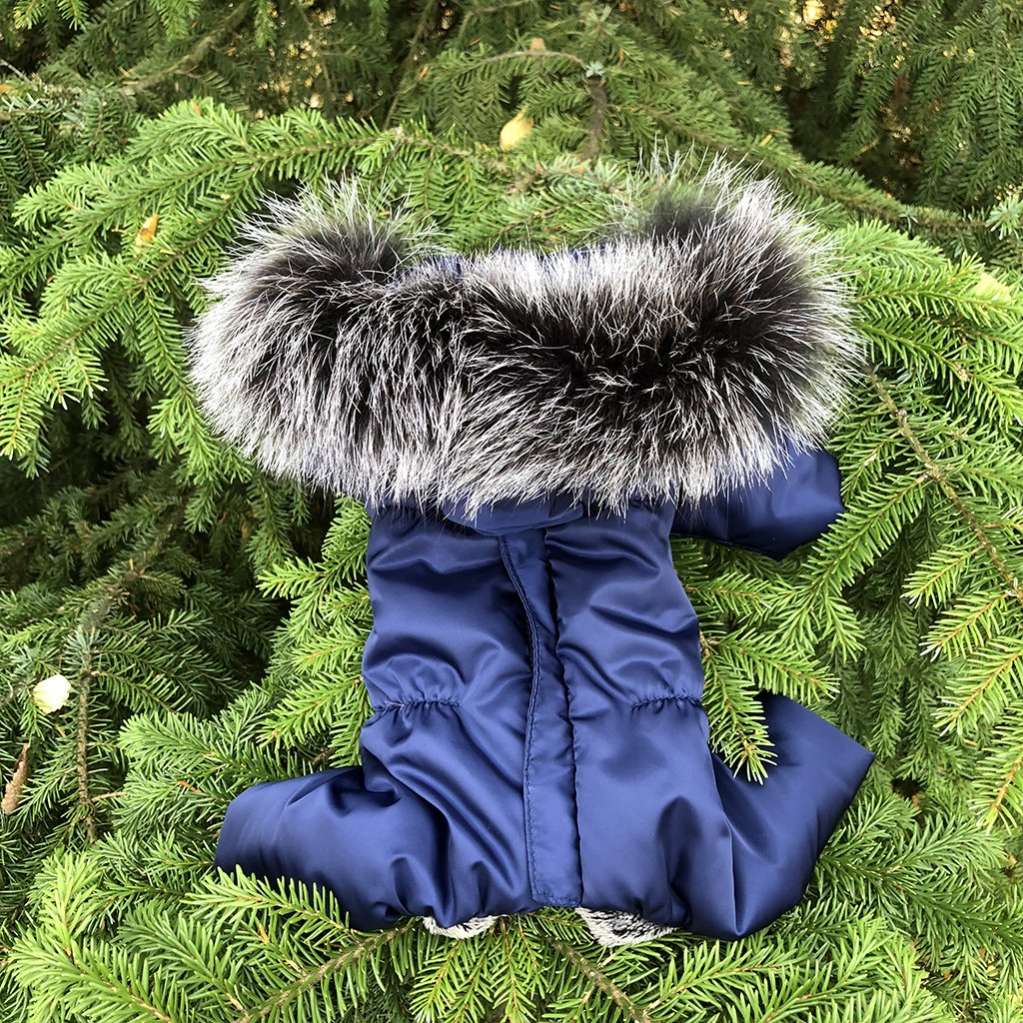 Зимний комбинезон для собак Северное сияние Гавана