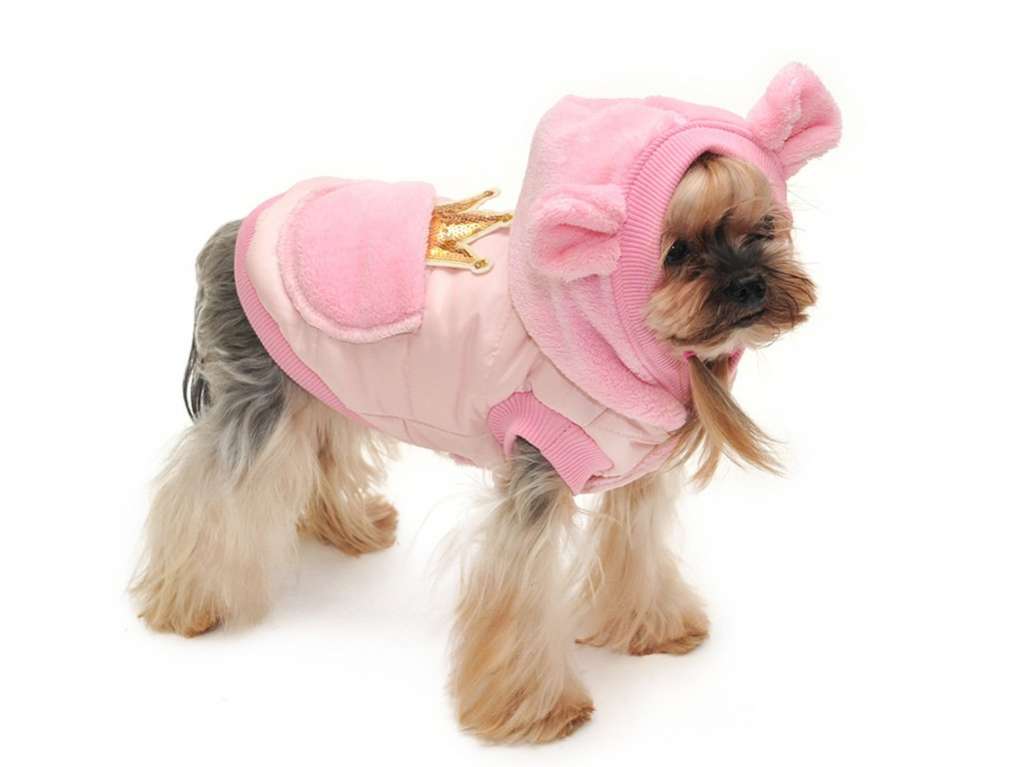 Жилетка для собаки Premium Crown