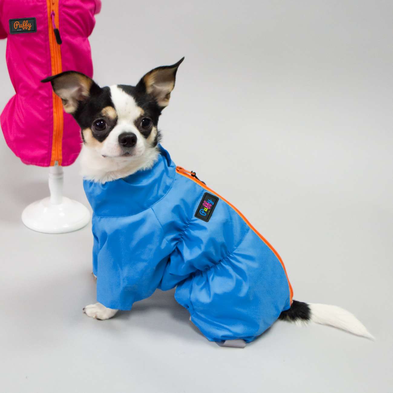 Дождевик для собаки утепленный Puffy Лион голубой