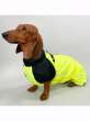 Дождевик для таксы и корги Puffy Лайм Лимонный
