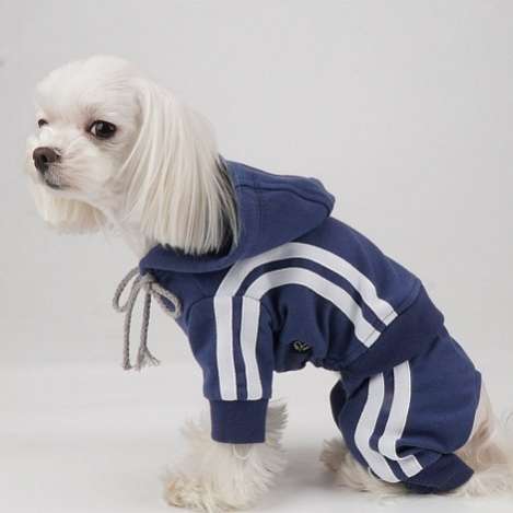 Костюм для собак трикотажный PA Спортик