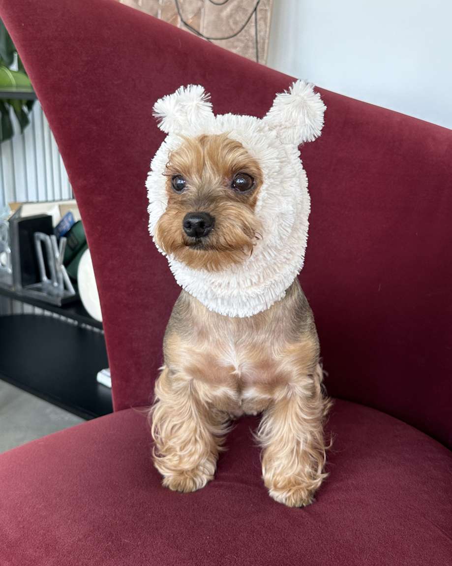 Шапка для собаки Капор Puffy Гамми Молочный