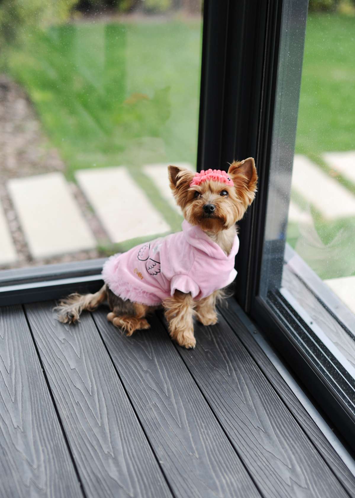 Толстовка для собаки велюровая Puffy Маленький ангел с юбкой