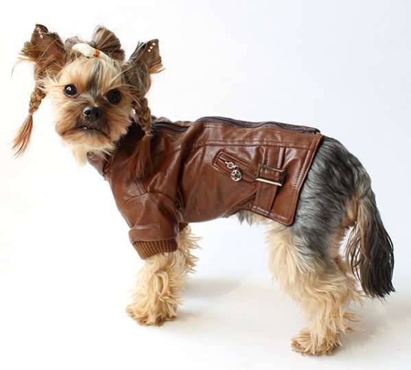 Куртка для собаки Pet Кожанка