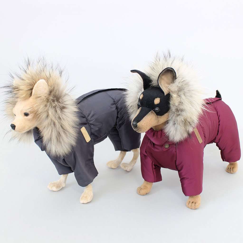 Зимний комбинезон для собак Северное сияние Графит