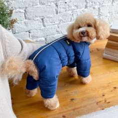 Зимний комбинезон для собак Puffy Норд Синий