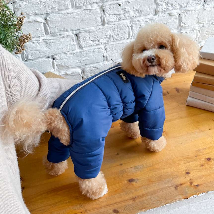 Зимний комбинезон для собак Puffy Норд Синий