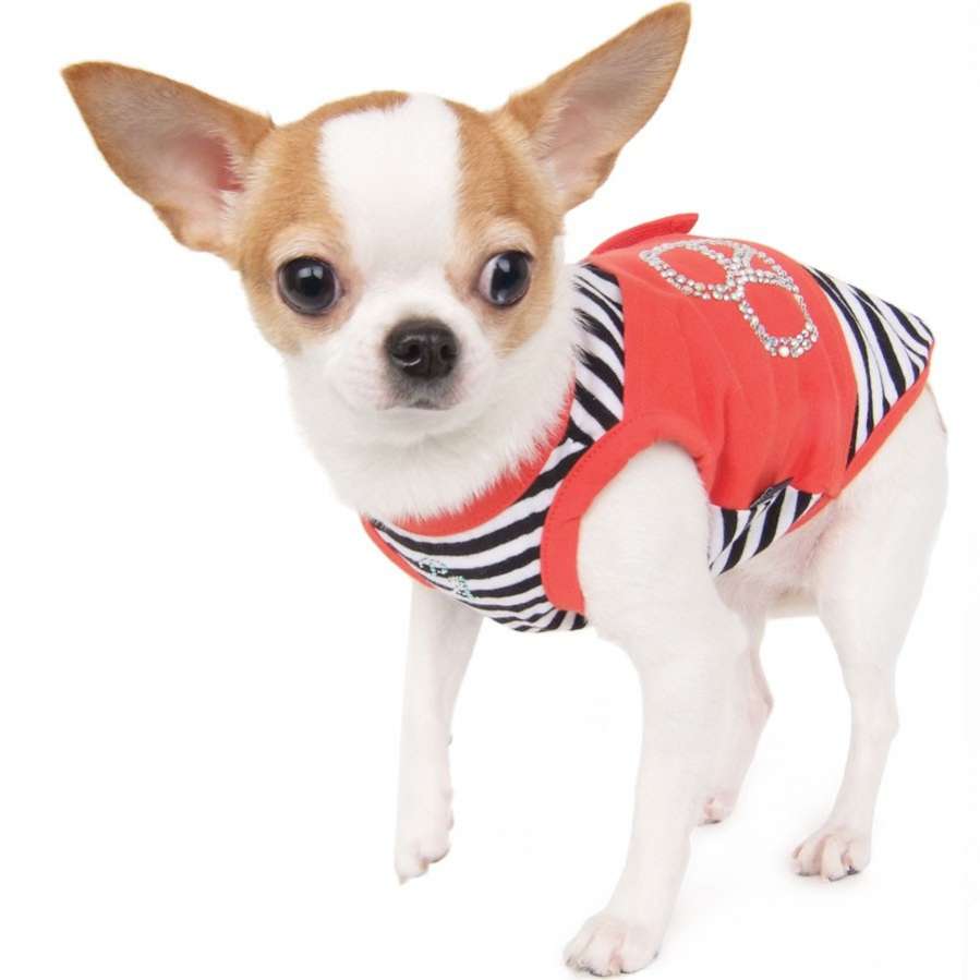 Майка для собаки PuppyAngel Морячка