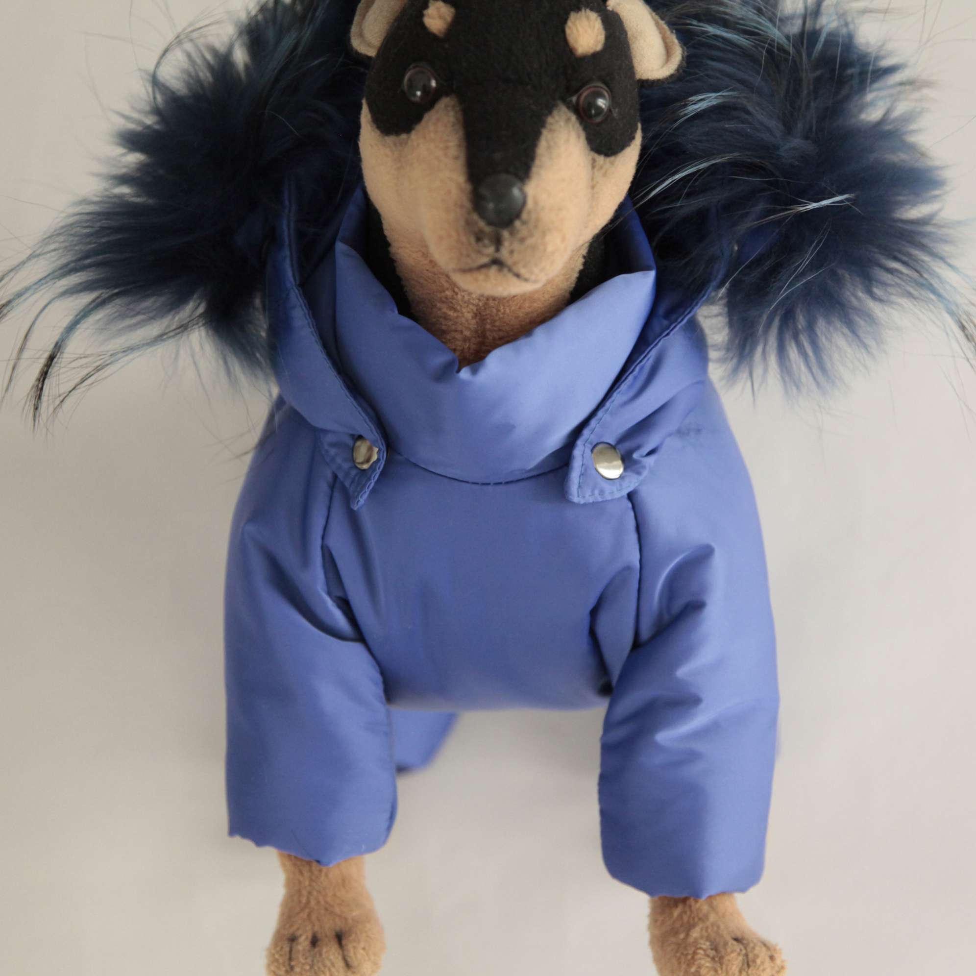 Зимний комбинезон для собак Северное сияние Гавана