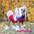 Свитер для собак ForMyDogs Север