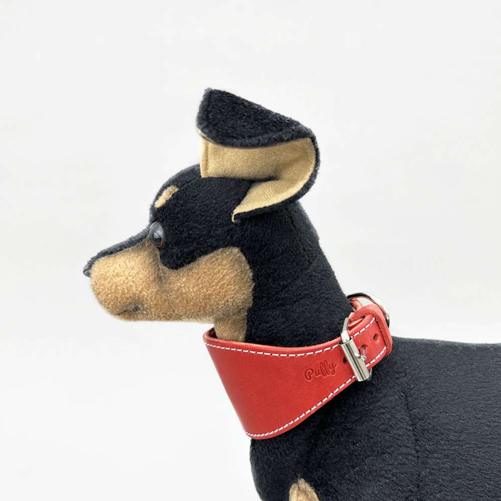 Ошейник Puffy Селедка 