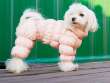 Комбинезон для собак PuppyAngel Полюс