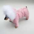 Зимний комбинезон для собак Северное сияние Клевер
