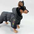Комбинезон для собак Puffy Игра в кальмара на шелке