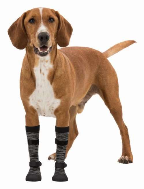 Носки для собак защитные