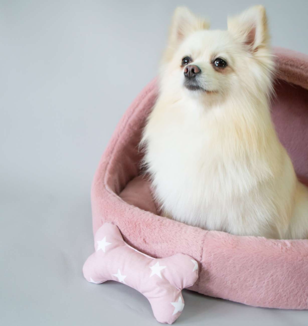 Домик для собаки круглый Puffy Фламбе