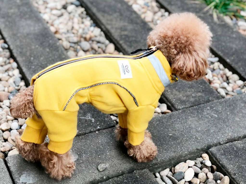 Костюм для собак PuppyAngel Спорт