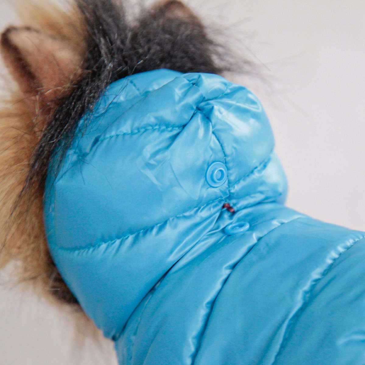 Комбинезон для собак Евро Pet Монклер