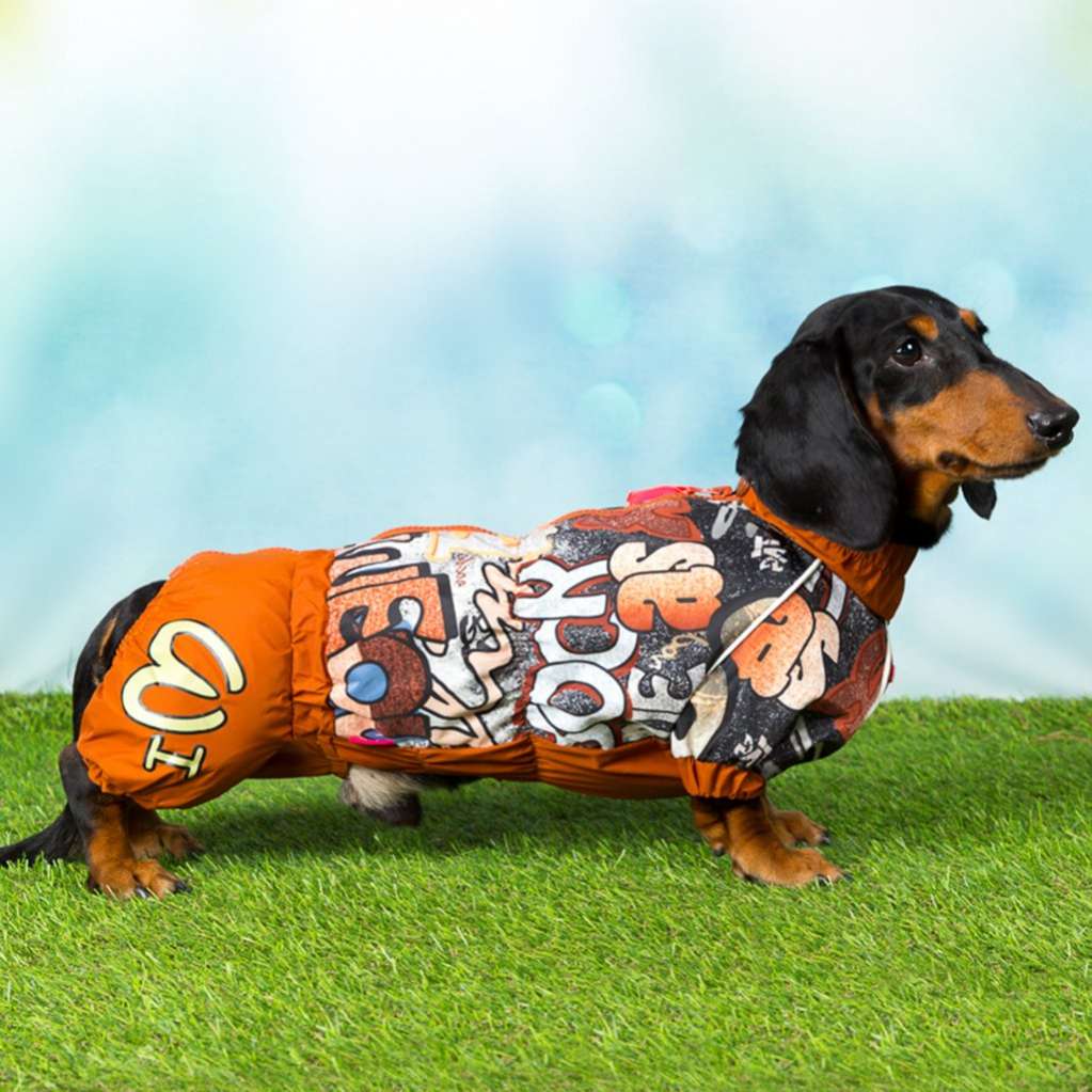 Дождевик для таксы и корги ForMyDogs Граффити
