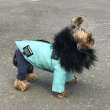 Куртка для собаки Фешн