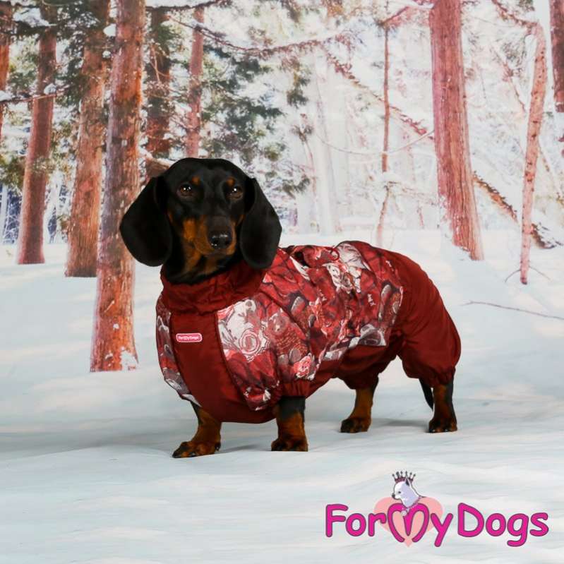 Комбинезон для таксы и корги ForMyDogs Мишки