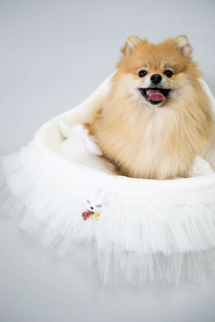 [Лежак] Лежанка для собак со спинкой Puffy Снежинка