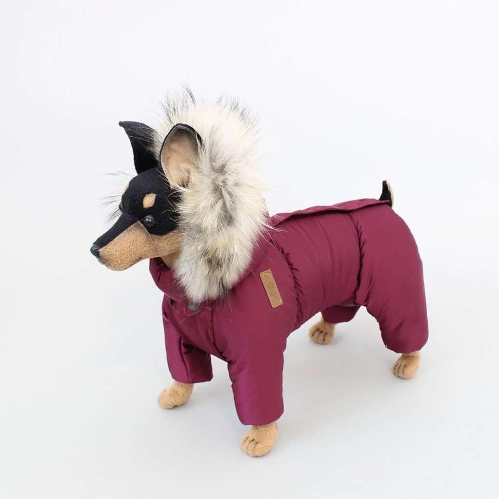 Зимний комбинезон для собак Северное сияние Бургунди