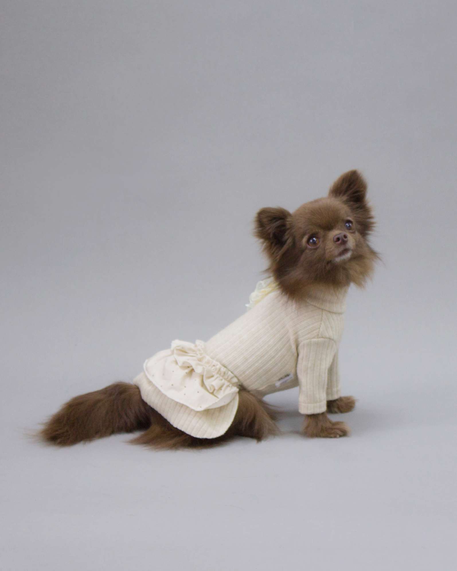 Платье для собак Puffy Лапша бежевое