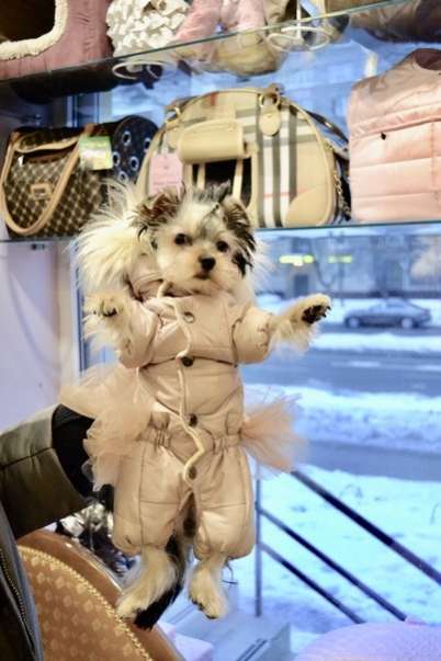 Комбинезон для собак Puffy Айвори