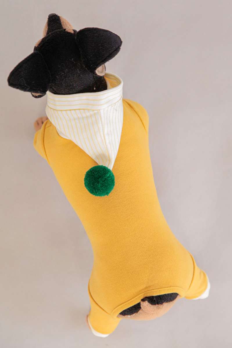 Костюм для собак трикотажный с капюшоном Pet Джером