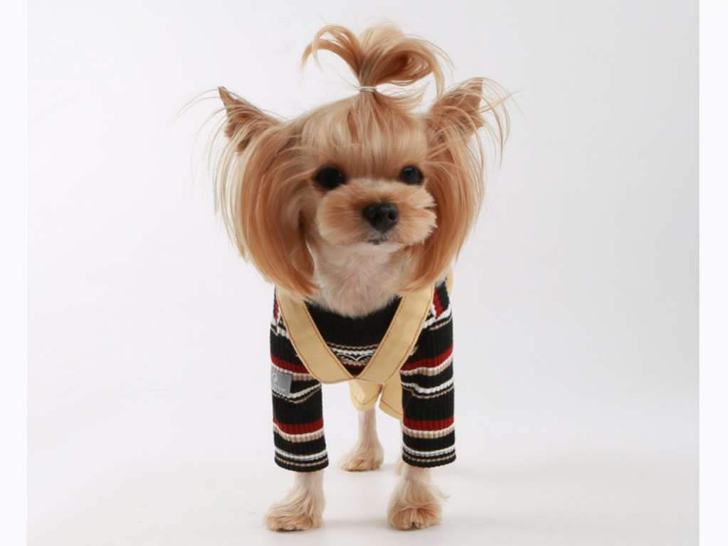 Штаны для собак PuppyAngel Озон