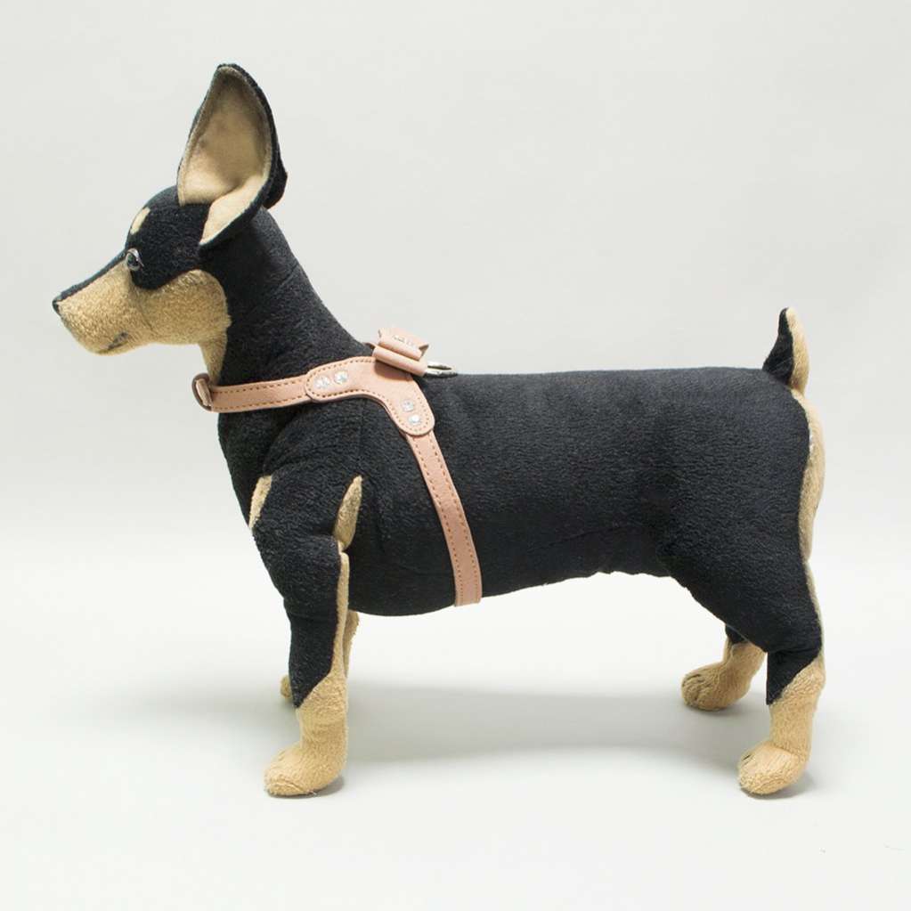 Шлейка для собак Pet Версаль