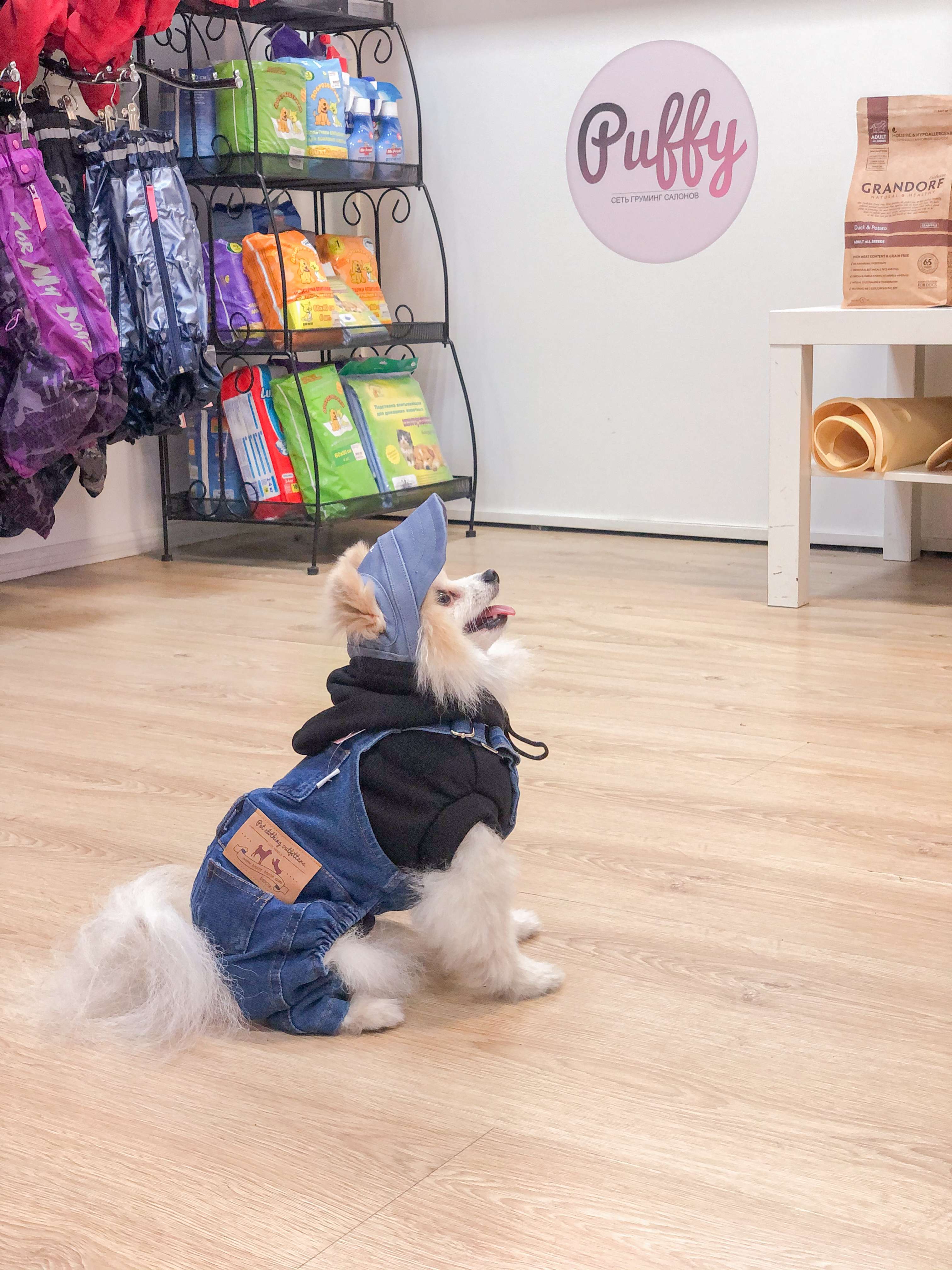 Комбинезон для собак джинсовый Pet Марио