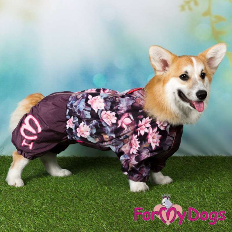 Дождевик для таксы и корги ForMyDogs Кувшинки