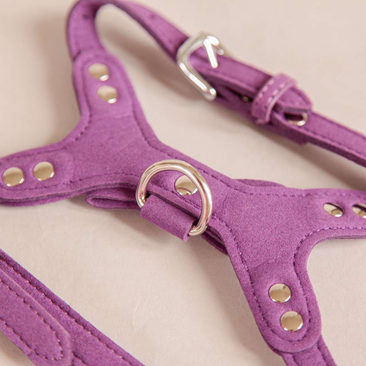 Шлейка для собак Pet Версаль