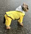 Комплект костюм и жилет для собаки Premium 15