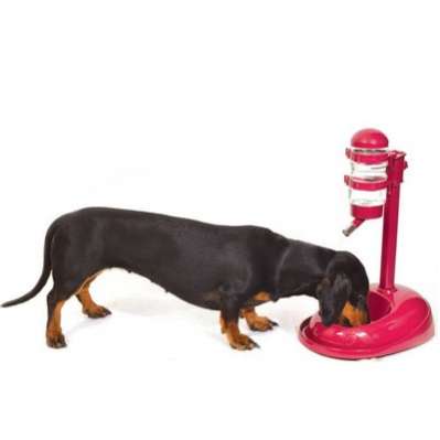 Кормушка поилка с шариком для слобак Сухие усы на присосках