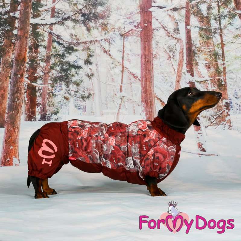 Комбинезон для таксы и корги ForMyDogs Мишки