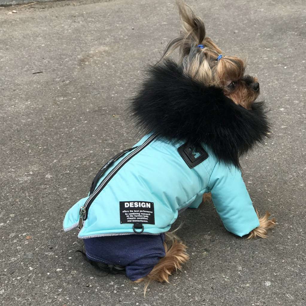 Куртка для собаки Фешн