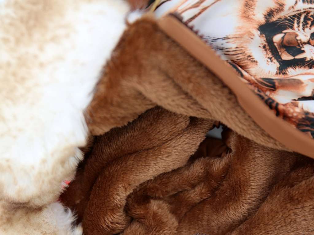 Комбинезон для таксы и корги ForMyDogs Tiger