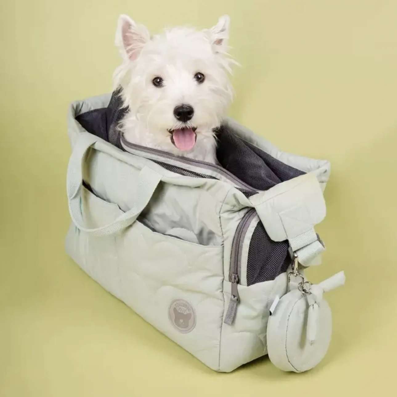 Сумка Travel фисташковая