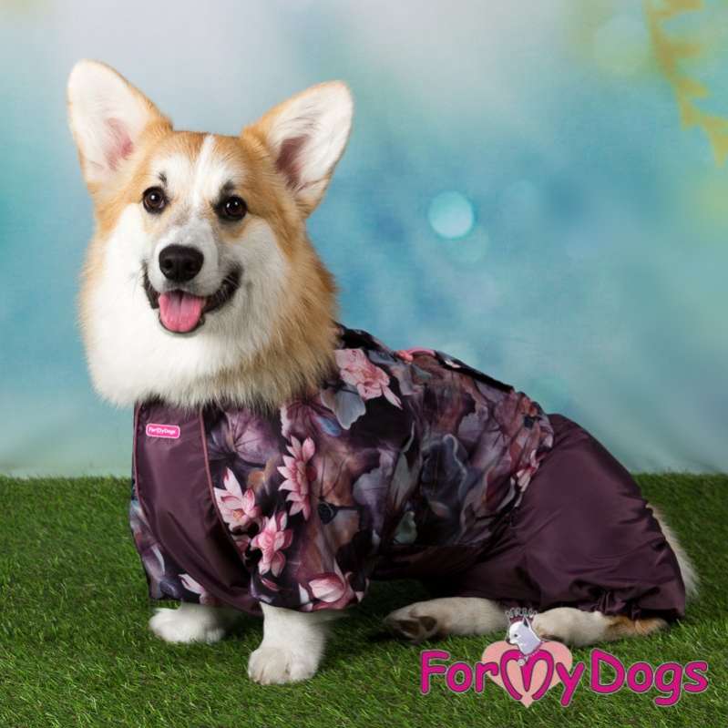 Дождевик для таксы и корги ForMyDogs Кувшинки
